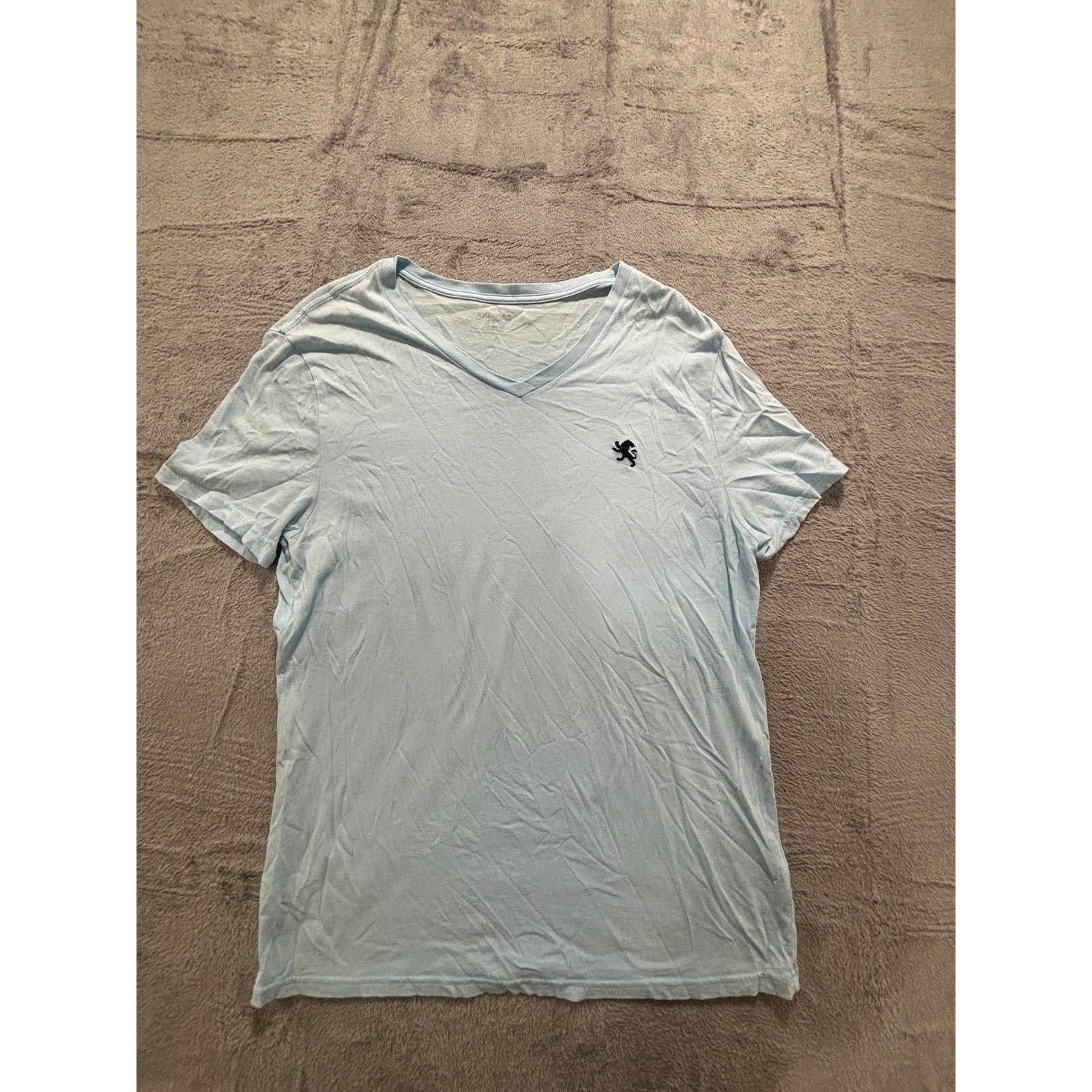 Express L Light Blue V-Neck T-Shirt Mens Casual Minimalist Short Sleeve Tee