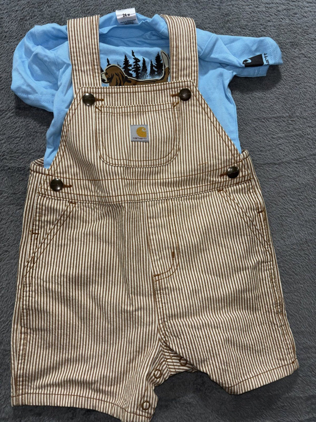 Carhartt Carter's Baby 24M 4 Piece Bundle Striped Overalls Tee Lion Print Pants