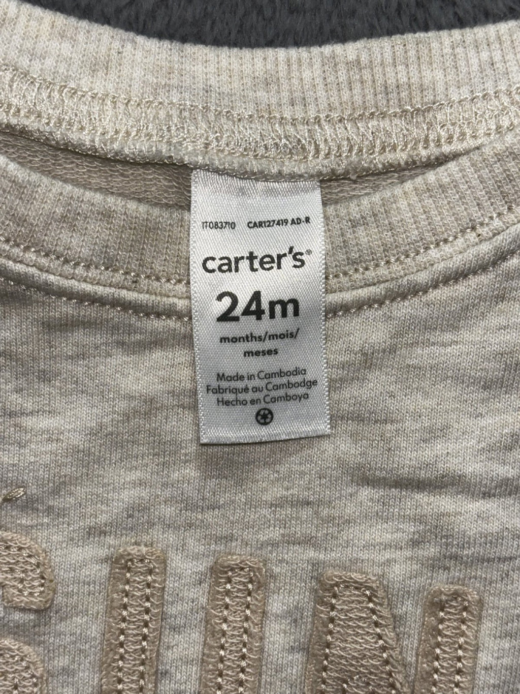 Carhartt Carter's Baby 24M 4 Piece Bundle Striped Overalls Tee Lion Print Pants