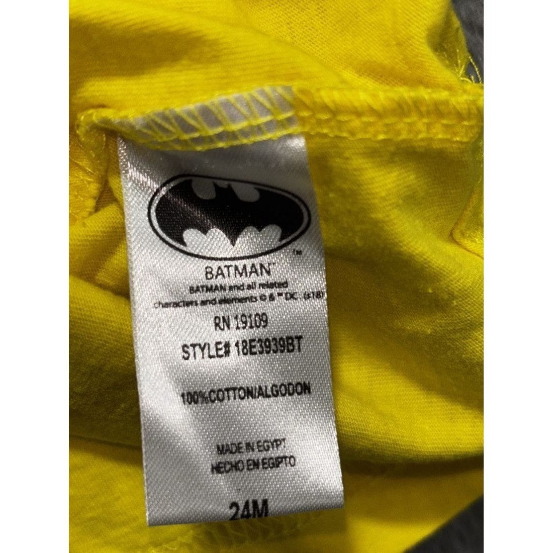 Batman & Disney Baby Boy Polo & Shorts Lot 5 Pcs 24M, photo 5 of 17