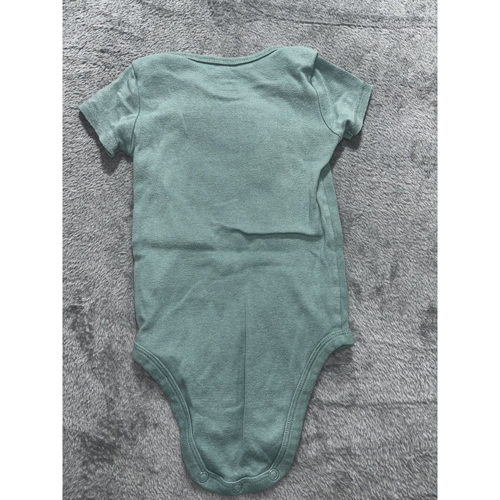 Carter's Baby 12M 8 Piece Bundle Bodysuits Tee Shorts Pants Dinosaur Turtle