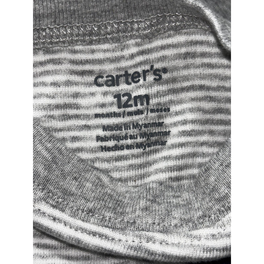 Carter's Baby 12M 8 Piece Bundle Bodysuits Tee Shorts Pants Dinosaur Turtle