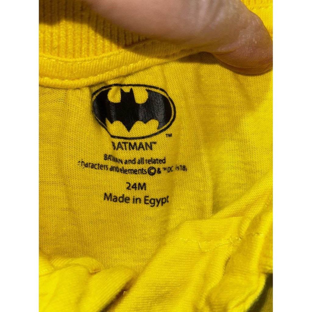 Batman & Disney Baby Boy Polo & Shorts Lot 5 Pcs 24M, photo 3 of 17