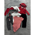 Carter's Baby Boy 12M 8 Piece Bundle Penguin Bodysuits Hoodie Pants Red Gray