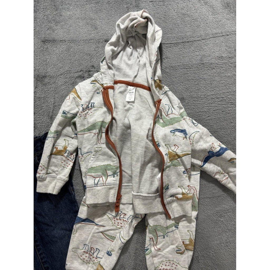 Baby Boy Dino Hoodie Pants Jeans Lot 4 Pcs 18M, photo 4 of 9