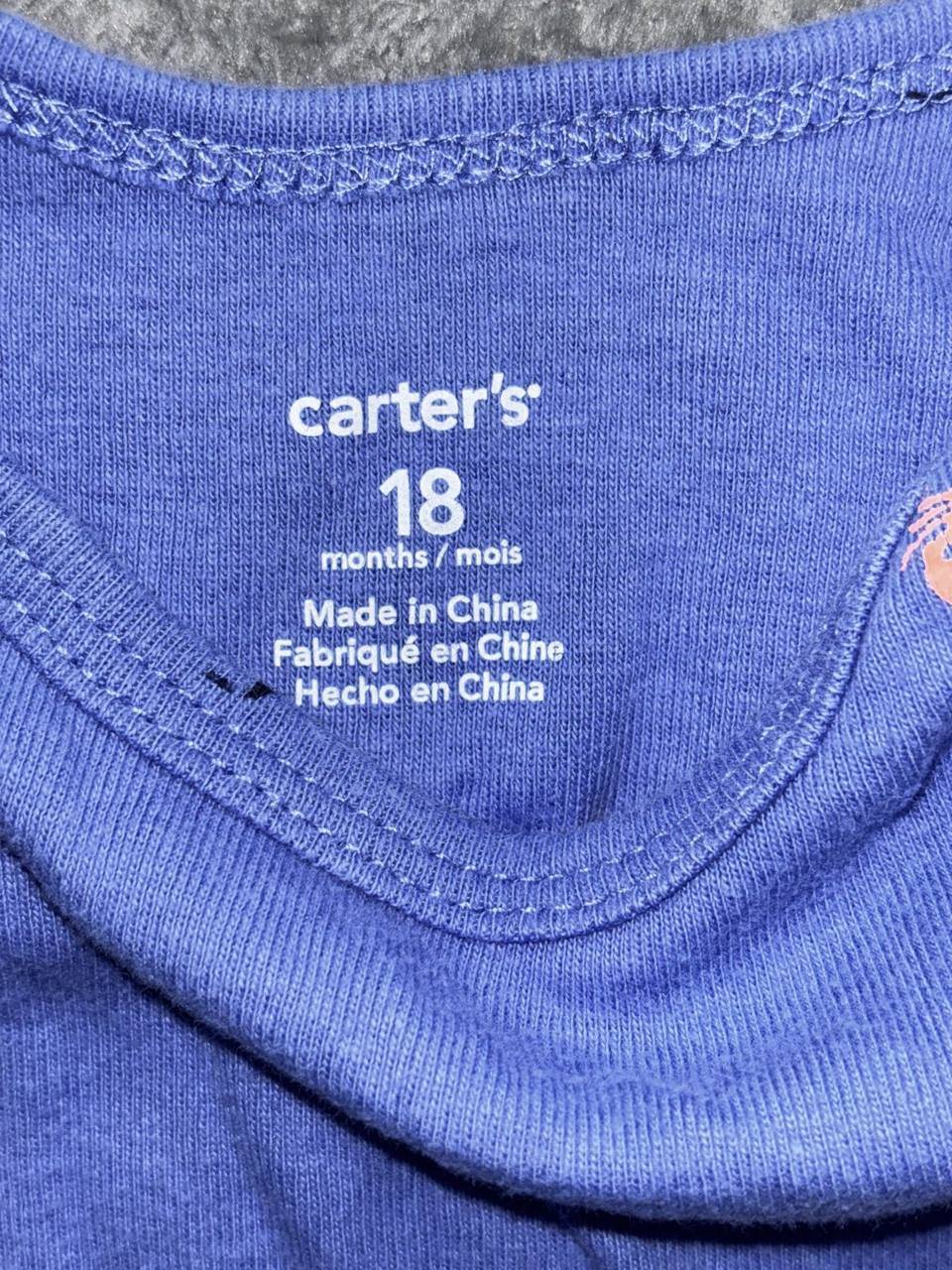 Carter's Baby Boy Hoodies Shorts Lot 5 Pieces 18M, photo 8 of 18