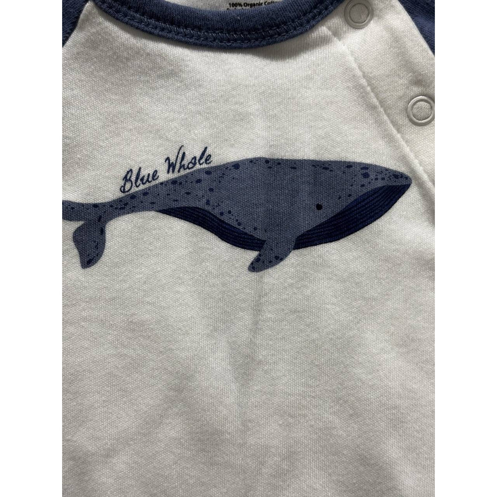 Touched by Nature Baby Boy Coveralls Lot 3 Pcs 0-3M, photo 11 of 13