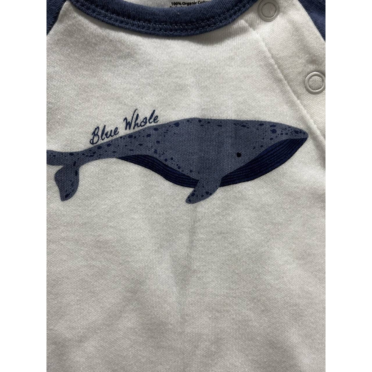 Touched by Nature Baby Boy Coveralls Lot 3 Pcs 0-3M, photo 11 of 13