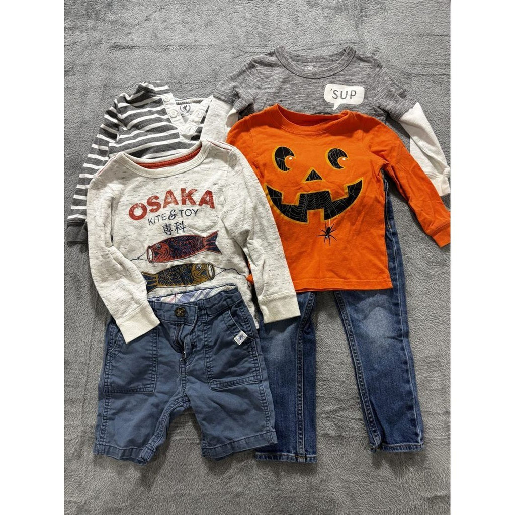 Toddler Boy Hoodie Tees Jeans Shorts Lot 6 Pcs 2T-3T