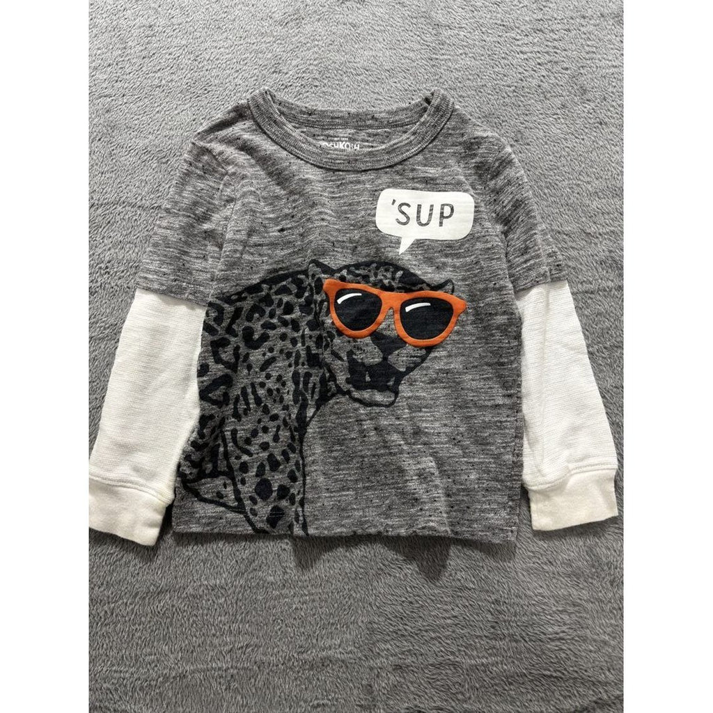 Toddler Boy Hoodie Tees Jeans Shorts Lot 6 Pcs 2T-3T, photo 6 of 23
