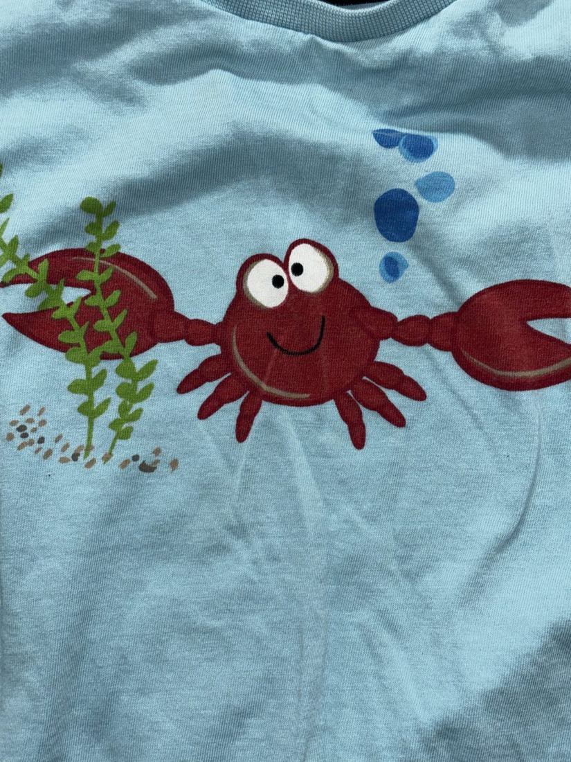 Toddler Boy Blue Jeans Polo Crab Tee Lot 4 Pcs 3T, photo 3 of 18