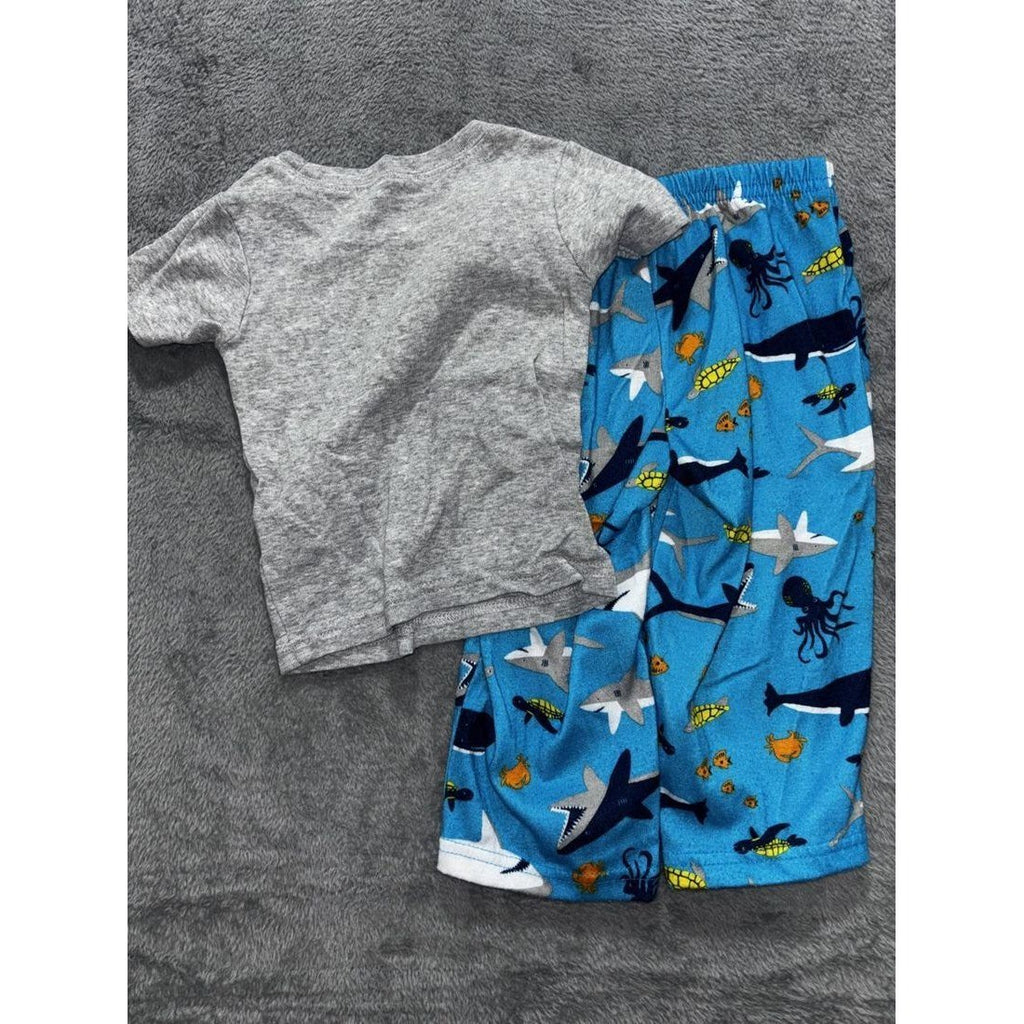 Carter's Baby Boy Pajama Sets Lot 6 Pieces 18M, photo 13 of 18
