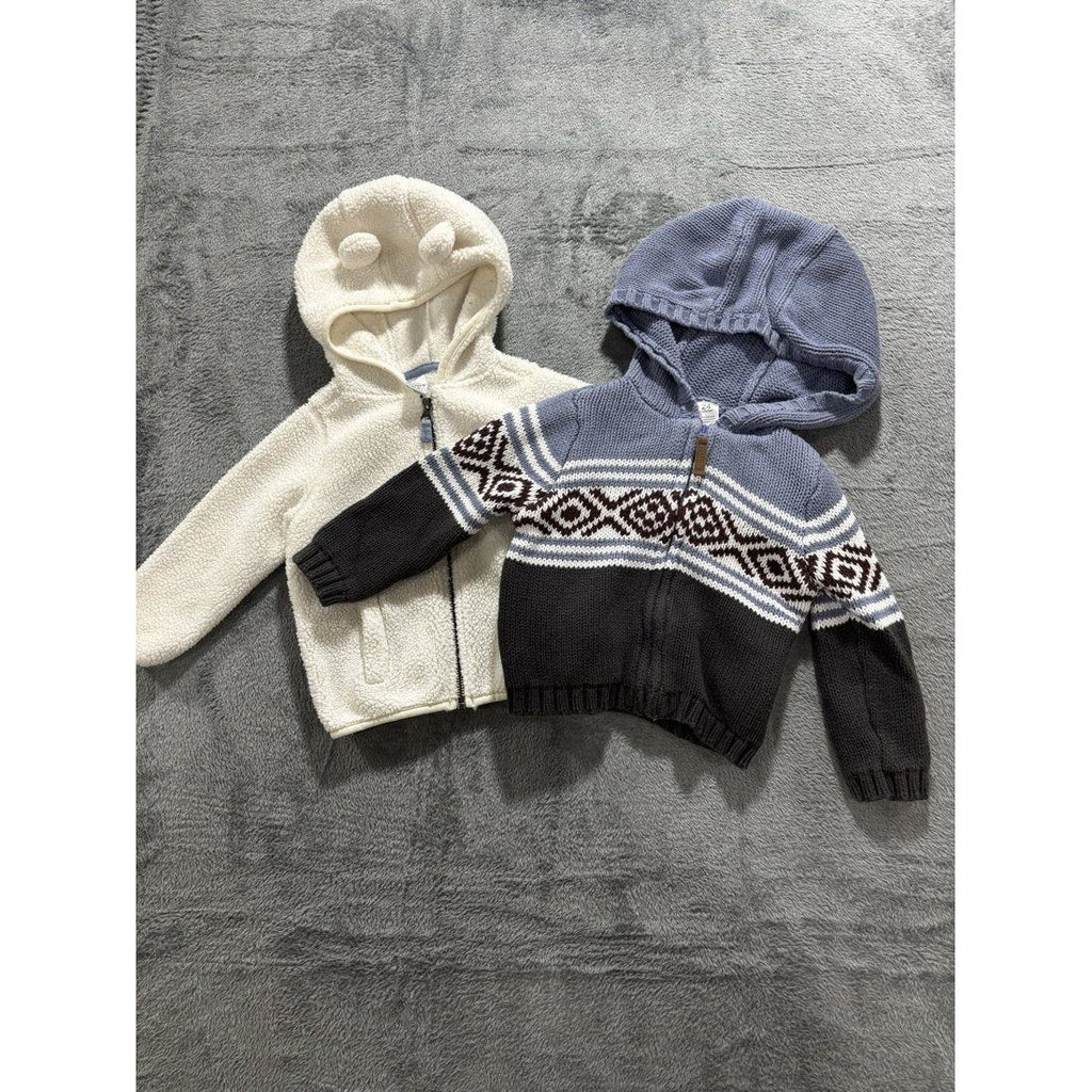 Carter's Baby Boy Hoodie & Sweater Lot 2 Pieces 24M