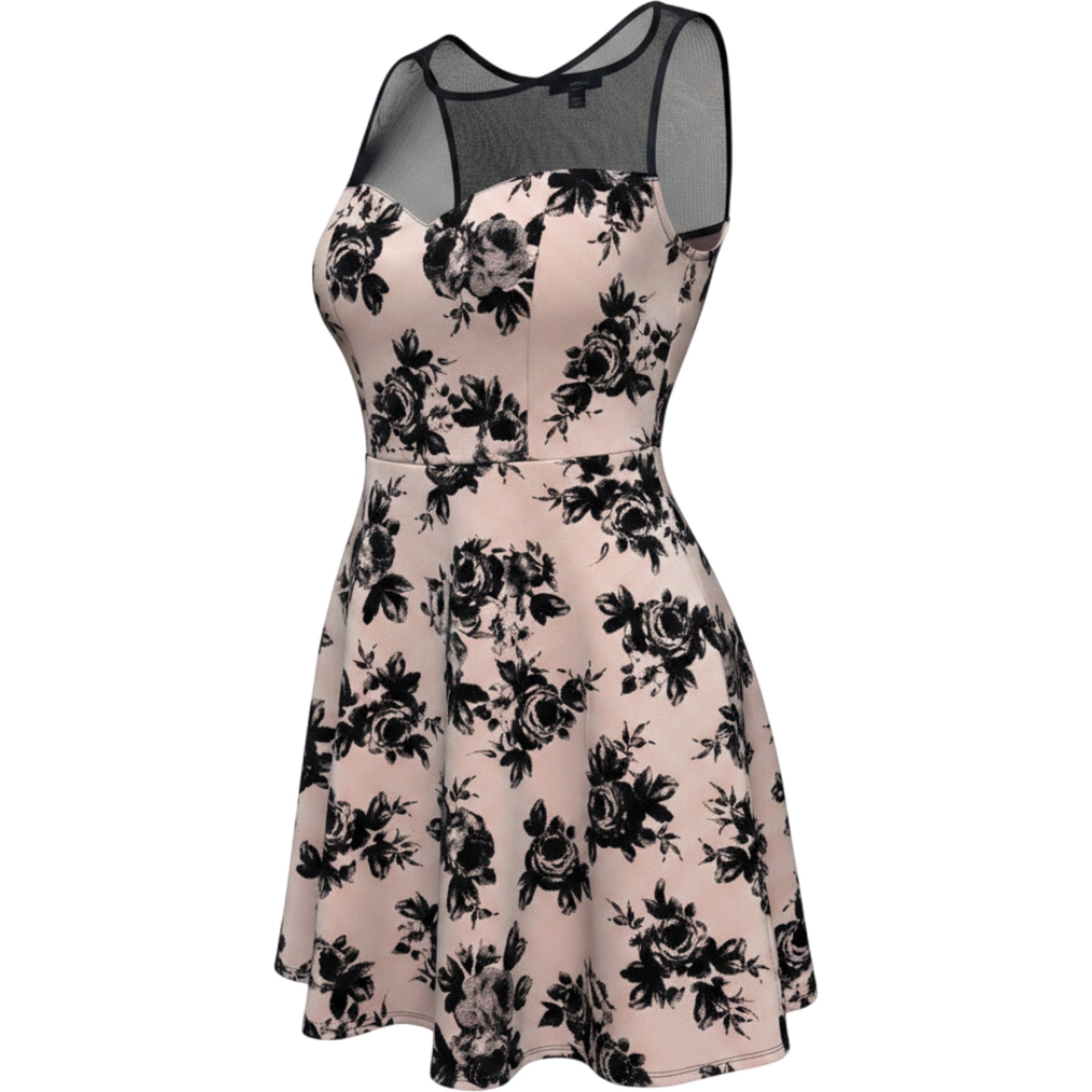 Trixxi Floral Mesh Fit & Flare Dress Size 2X Blush Black Party Dress Feminine