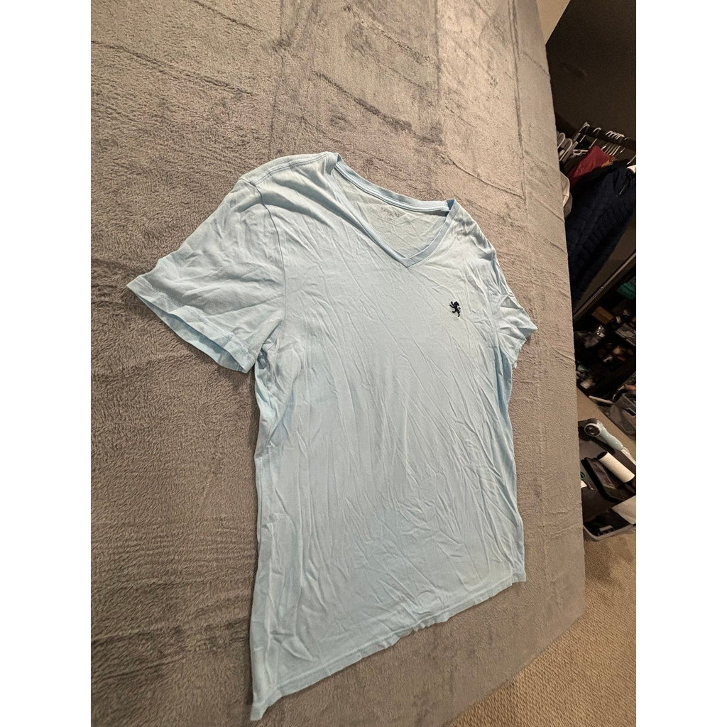 Express L Light Blue V-Neck T-Shirt Mens Casual Minimalist Short Sleeve Tee