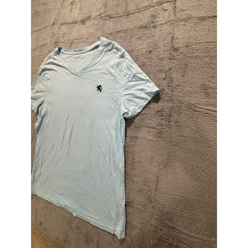 Express L Light Blue V-Neck T-Shirt Mens Casual Minimalist Short Sleeve Tee