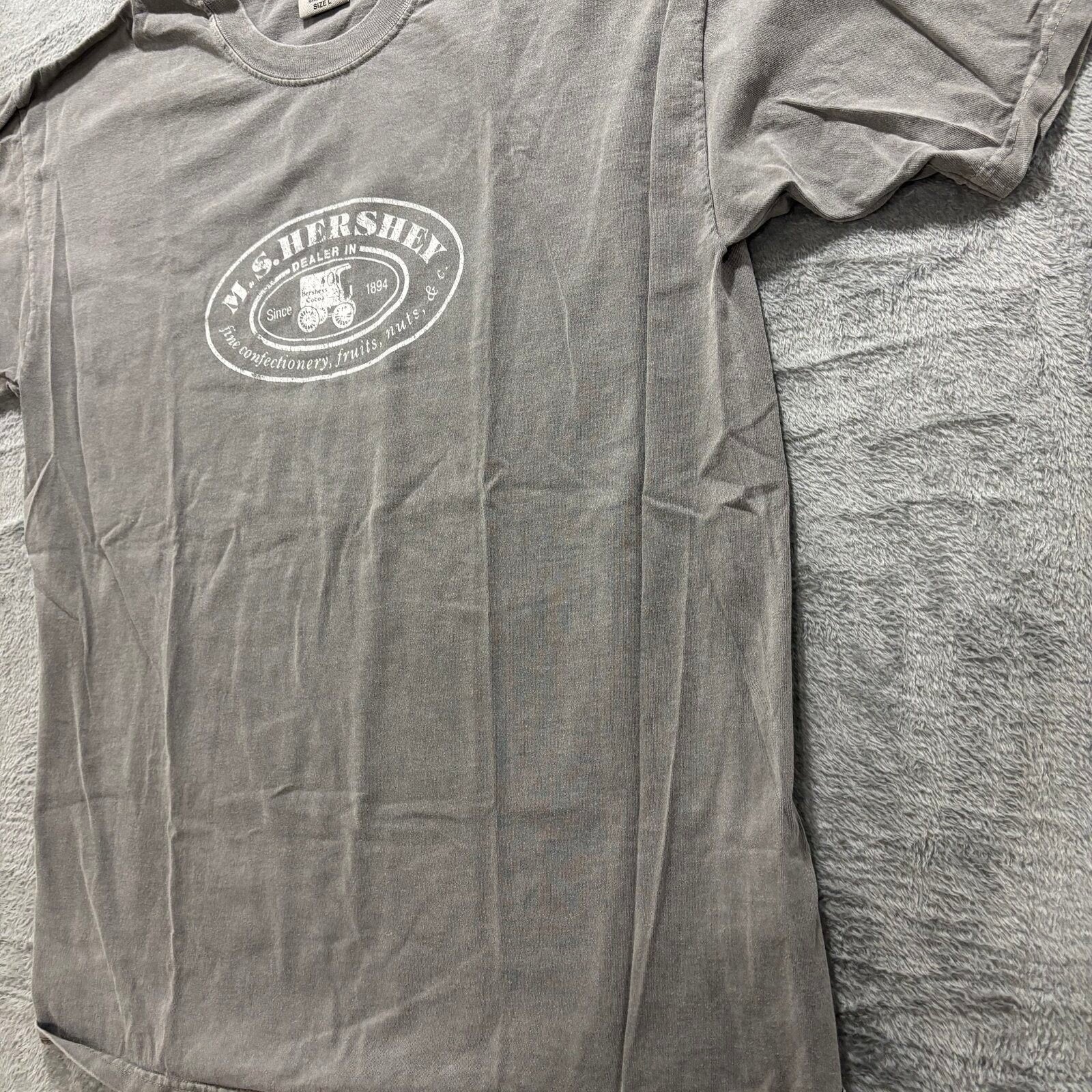 Comfort Colors L Gray M.S. Hershey Graphic T-Shirt Womens Vintage Casual