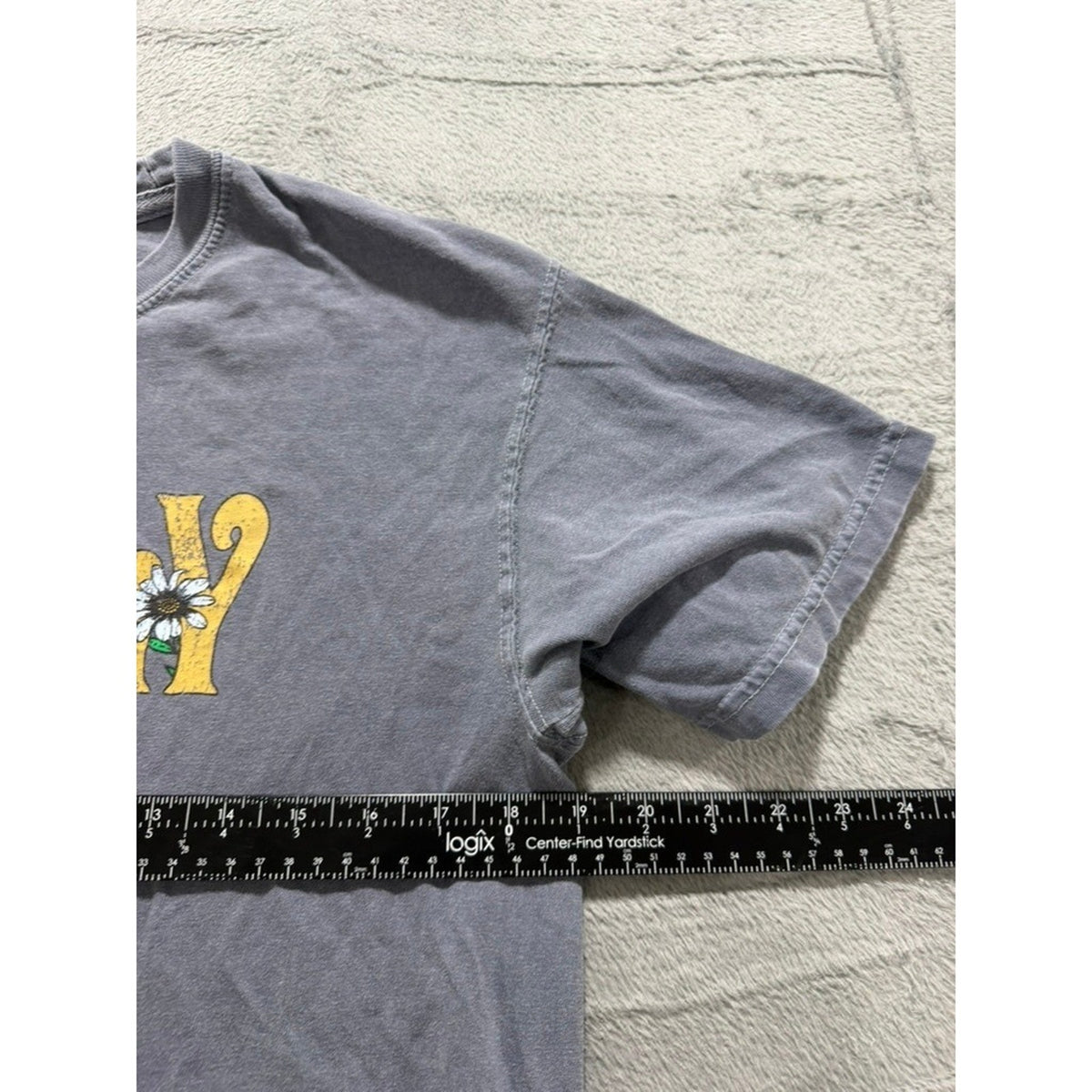 Comfort Colors Philly Daisy Graphic T-Shirt Gray Heavyweight Cotton Mens Medium