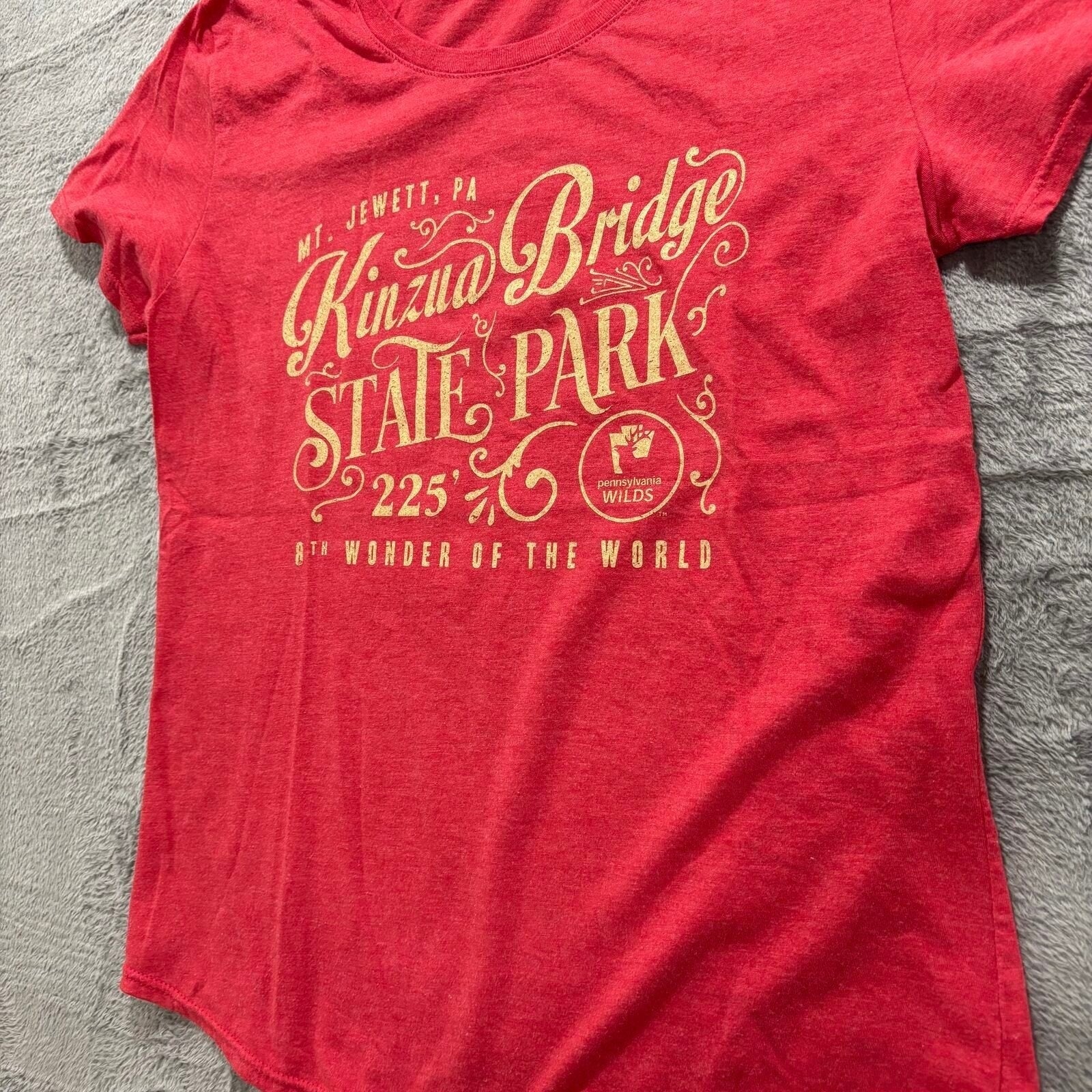 Gildan L Womens Red Kinzua Bridge State Park Graphic Tee Casual Vintage Style