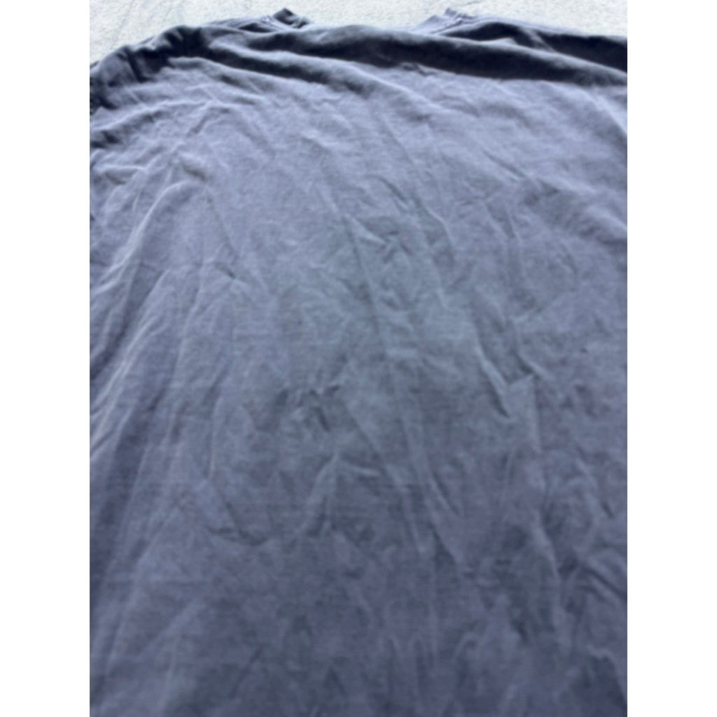 Comfort Colors Philly Daisy Graphic T-Shirt Gray Heavyweight Cotton Mens Medium