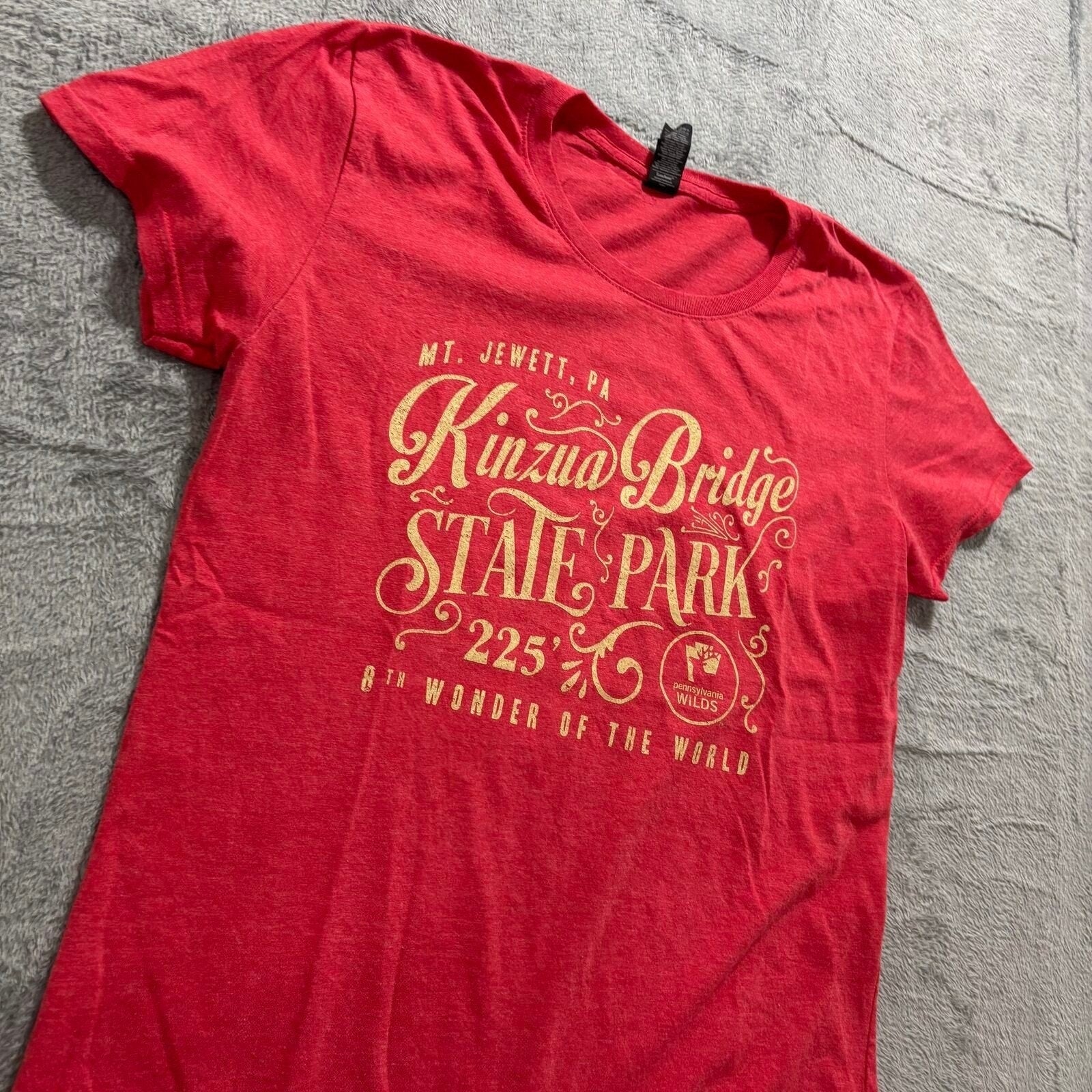 Gildan L Womens Red Kinzua Bridge State Park Graphic Tee Casual Vintage Style