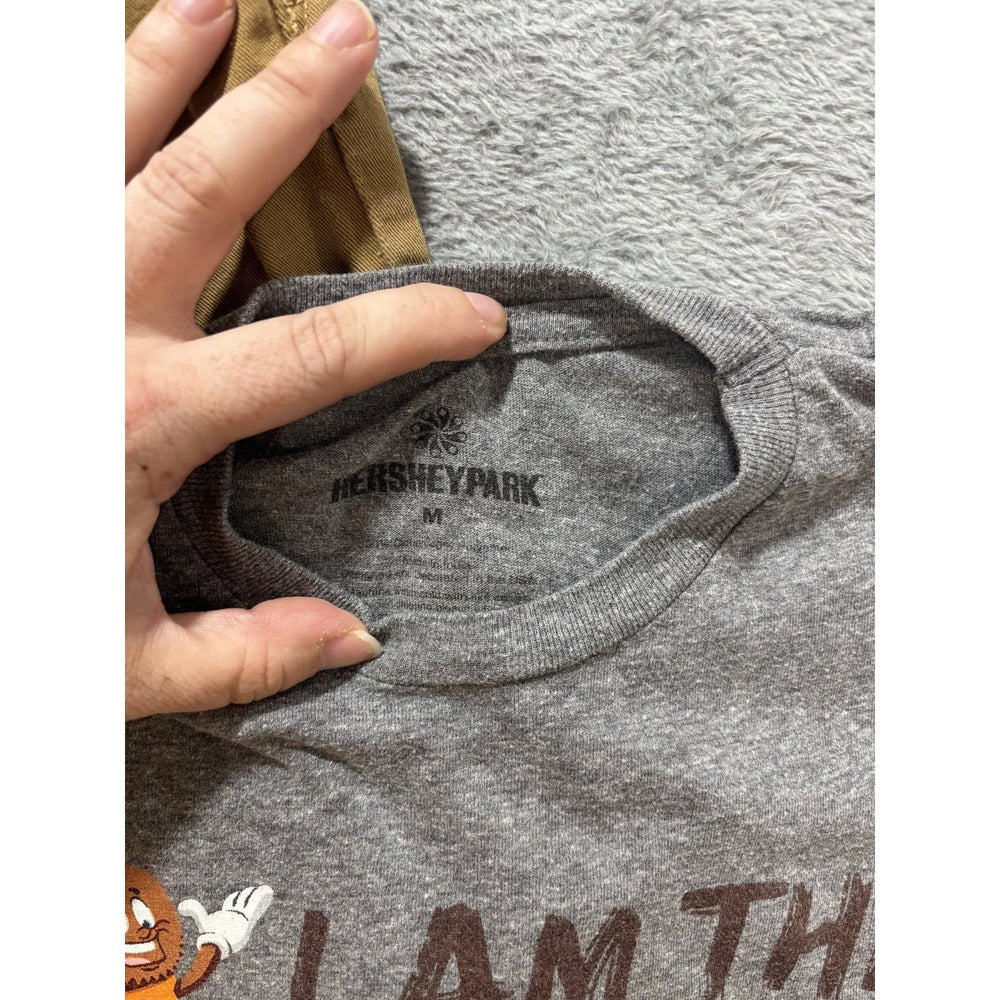 Hersheypark GAP Boys M 10-12 Gray Tan Tie Dye 3pc Shirt Pants Lot Casual Cozy