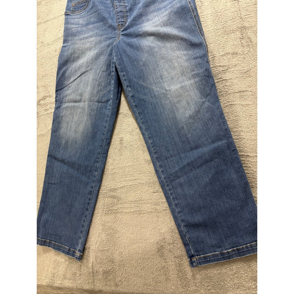 Spanx Womens 2XT Blue Straight Leg Pull On Denim Jeans Casual Classic Plus Size